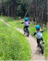 27 Nature Trail Road - Photo 35