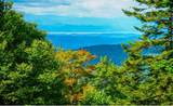 27 Nature Trail Road - Photo 42