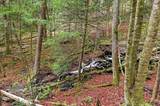 1075 Butternut Hill Road - Photo 19
