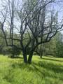 491 Whitneyville Road - Photo 2