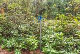 42 Bowl Road - Photo 1