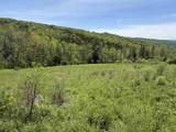 0000 Bear Hill Road - Photo 1