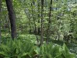 0000 Bear Hill Road - Photo 10