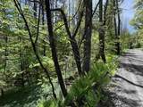 0000 Bear Hill Road - Photo 11