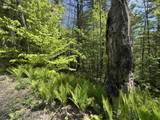0000 Bear Hill Road - Photo 12