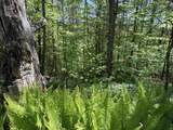 0000 Bear Hill Road - Photo 13