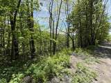 0000 Bear Hill Road - Photo 4