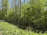 0000 Bear Hill Road - Photo 5