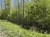 0000 Bear Hill Road - Photo 6