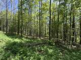 0000 Bear Hill Road - Photo 7