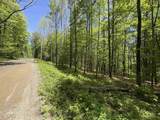 0000 Bear Hill Road - Photo 8