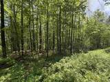 0000 Bear Hill Road - Photo 9