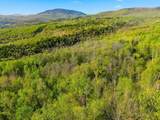 - South Jordan Hill Road - Photo 30