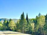 Lot 8 Gulch Brook Road - Photo 12