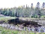 Lot 8 Gulch Brook Road - Photo 17