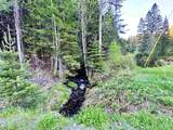 Lot 8 Gulch Brook Road - Photo 20
