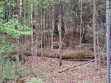 16 Aspen Lane - Photo 3