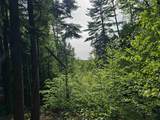 Lot 26 Province Road - Photo 12