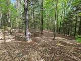 Lot 26 Province Road - Photo 14