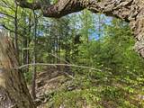 Lot 26 Province Road - Photo 22