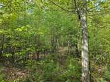 Lot 26 Province Road - Photo 23