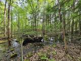 Lot 26 Province Road - Photo 27