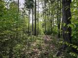 Lot 26 Province Road - Photo 29