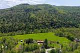 1319 Brandon Mountain Road - Photo 47