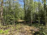 550 Petit Road - Photo 11