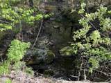 550 Petit Road - Photo 12