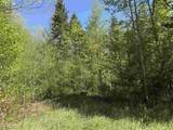 550 Petit Road - Photo 9