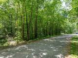 Lot 53 Senter Cove Road - Photo 12