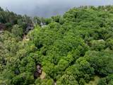 Lot 53 Senter Cove Road - Photo 19