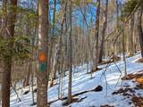 0 Carpenter Hill Road - Photo 7