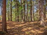  Vulture Mountain Road - Photo 11