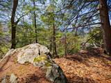  Vulture Mountain Road - Photo 12
