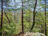  Vulture Mountain Road - Photo 13