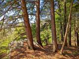  Vulture Mountain Road - Photo 14