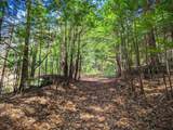  Vulture Mountain Road - Photo 17