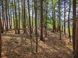  Vulture Mountain Road - Photo 7