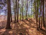  Vulture Mountain Road - Photo 9