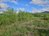 TBD Lot #3 Miller's Meadow Road - Photo 3