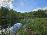 TBD Lot #3 Miller's Meadow Road - Photo 5