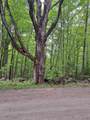 81 Hart Farm Road - Photo 16