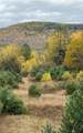 Lot 4 Catterall Road - Photo 1