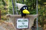 197a Chester Street - Photo 48
