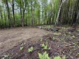 114 Lewis Hill Road - Photo 4