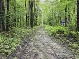 114 Lewis Hill Road - Photo 9