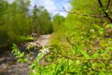 0 Mud Pond Pass - Photo 10