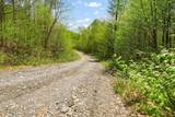 0 Mud Pond Pass - Photo 12